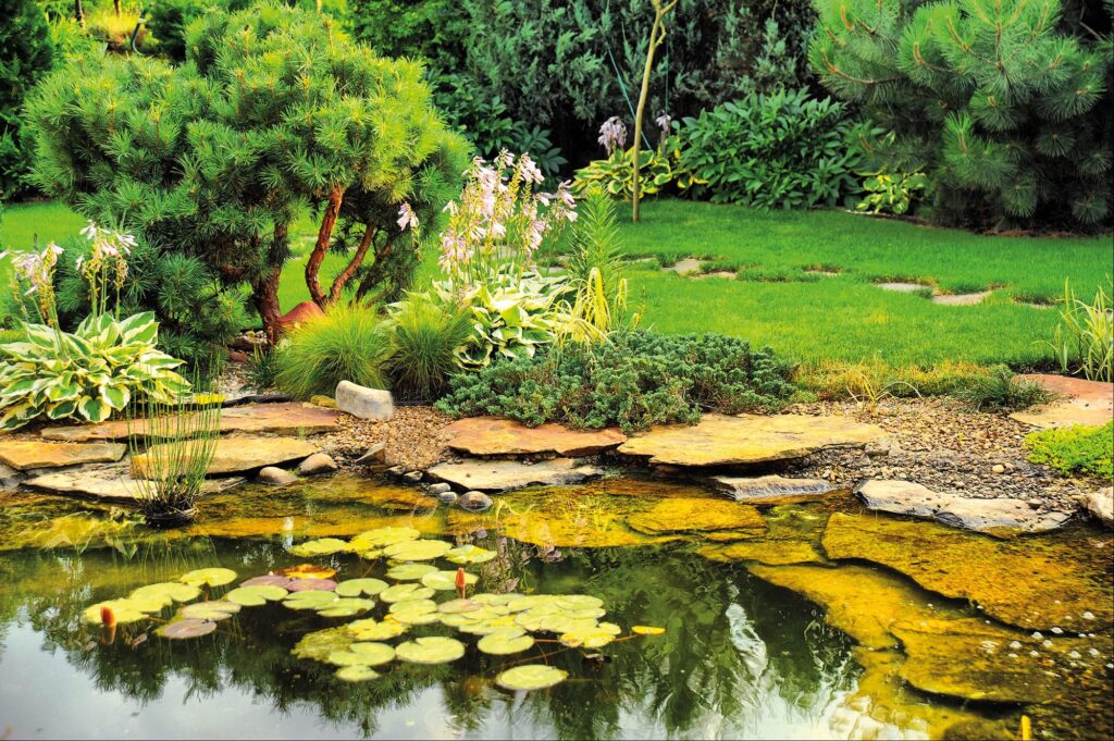 Teich vor einem waldähnlichen Gartengrundstück.