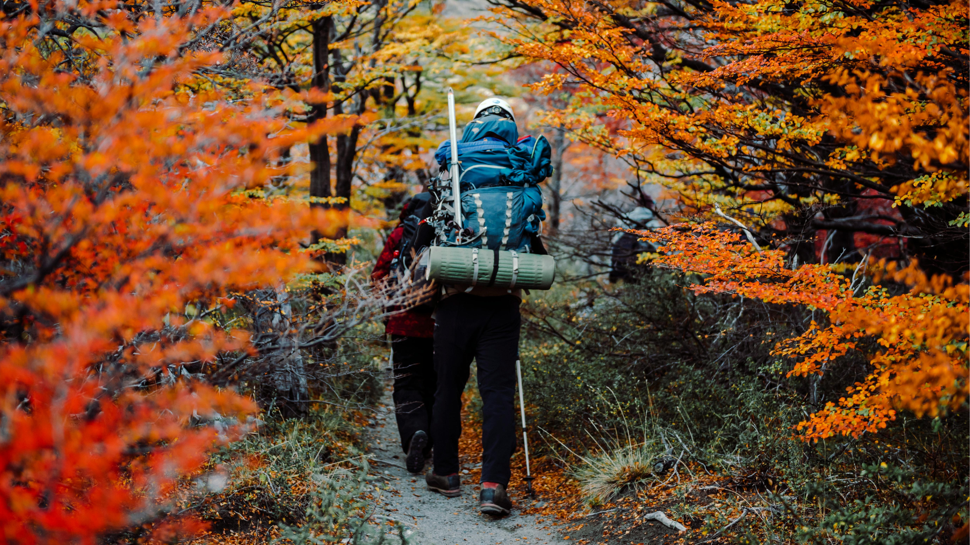 Wanderung im Herbst