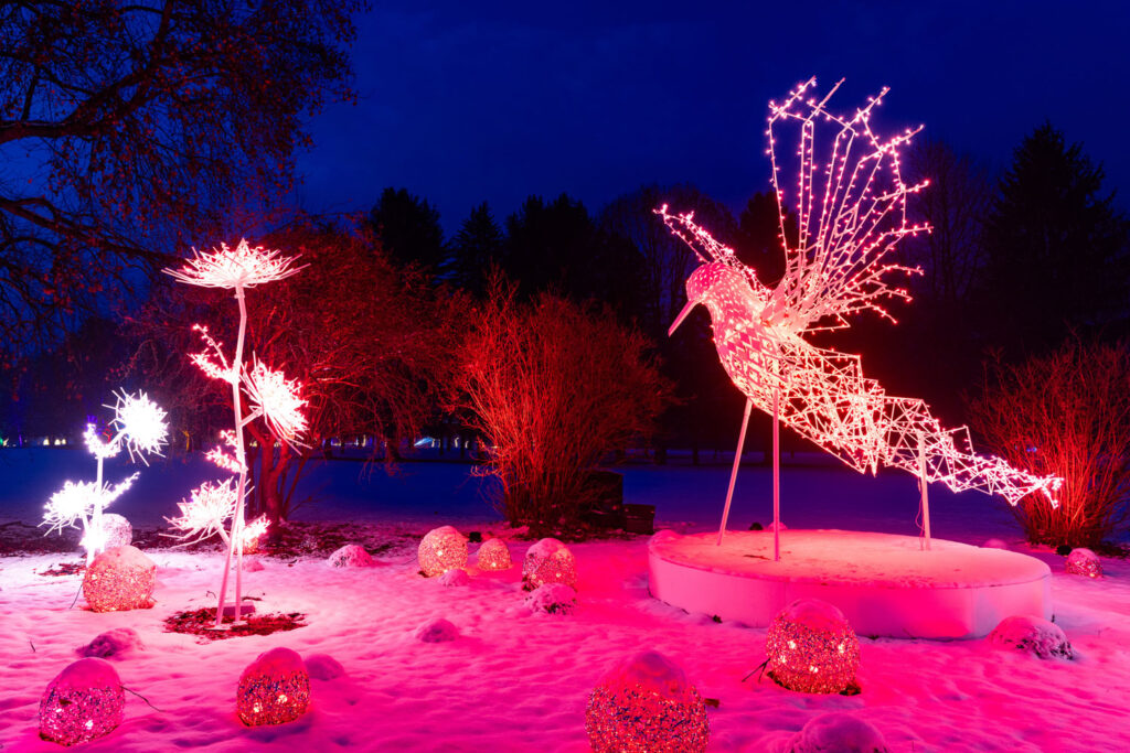 Lumagica: Ein pink beleuchteter Vogel in Größe eines Busches steht im Schnee neben pink beleuchteten Blumen.