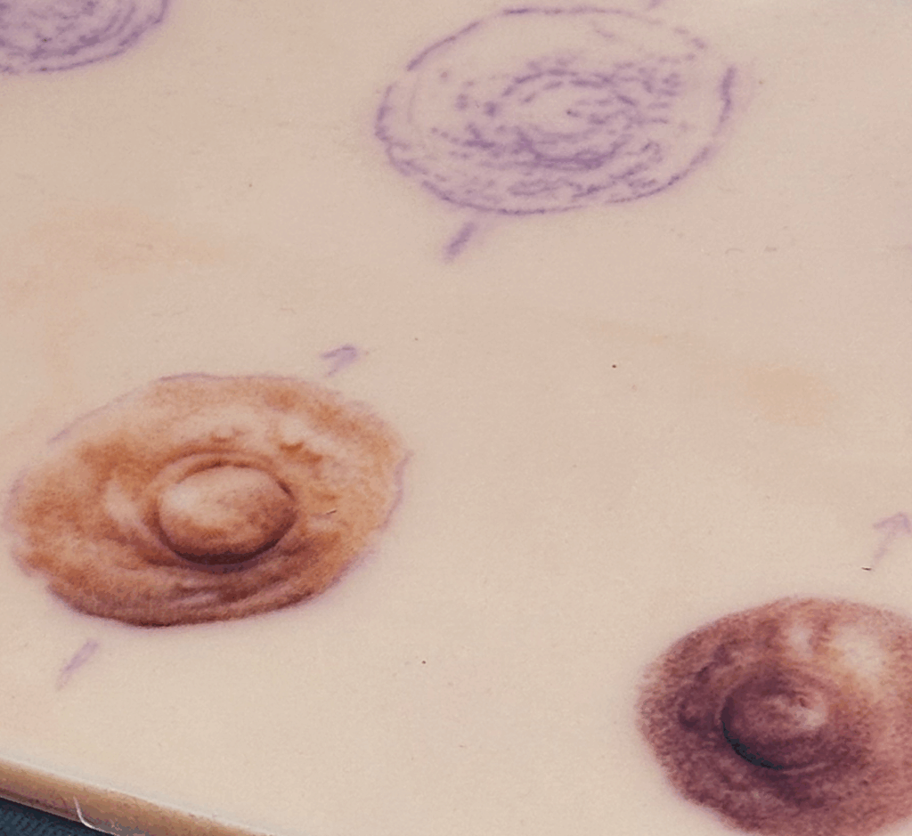 Schablone für verschiedene Brustwarzen-Tattoos