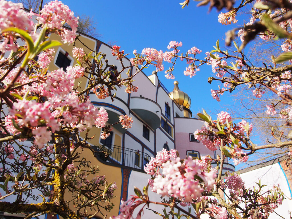 Rosa Frühlingsblüten vor einem künstlerischen Gebäude.