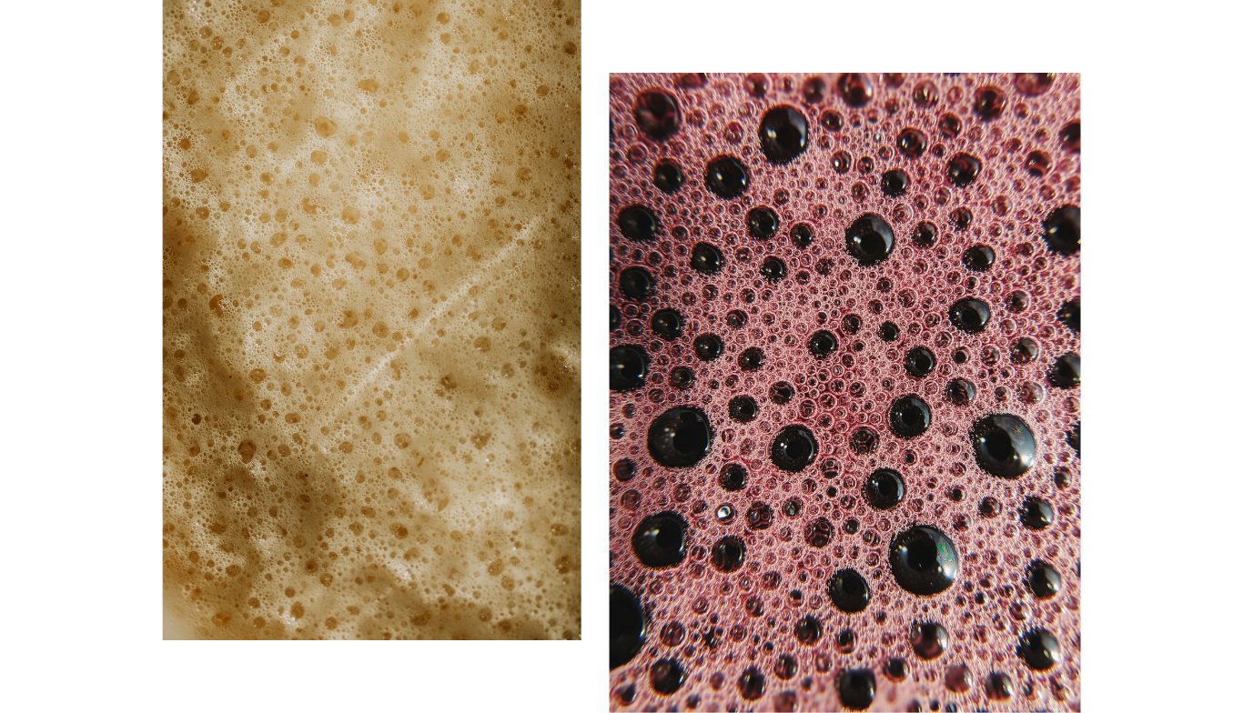 Fermentieren: Die alte Technik neu entdeckt