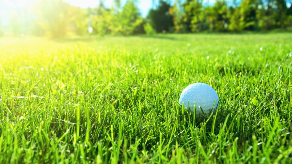 Belogran: Ein Golfball liegt auf einem grünen Rasen.