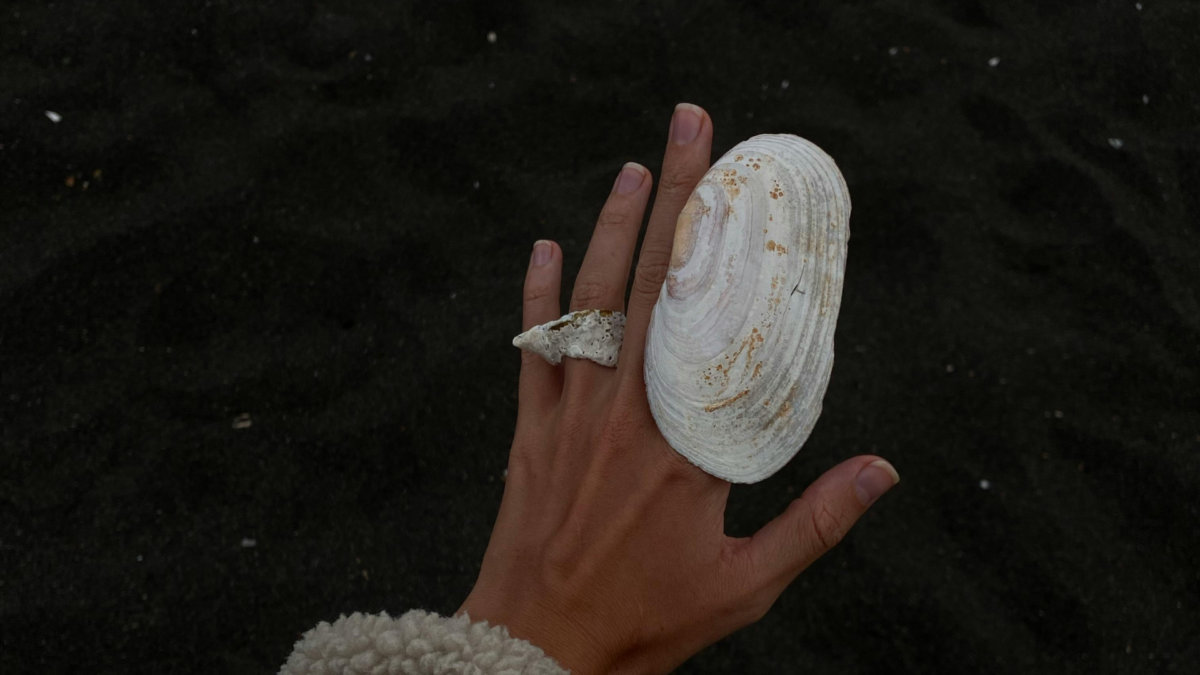 Beach Schmucktrend: Eine Hand hÃ¤lt eine schÃ¶ne schimmernde Muschel Ã¼ber dem Wasser und trÃ¤gt eine Muschel als Ring